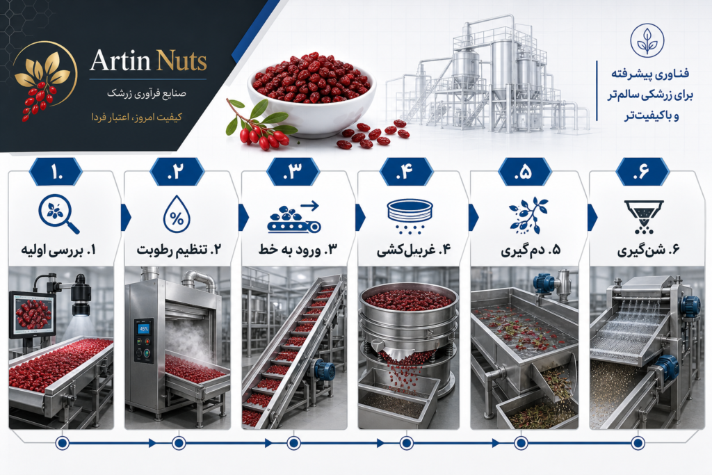 اینفوگرافیک مراحل ۶ گانه فرآوری بوجاری و غربیل زرشک در کارخانه آرتین